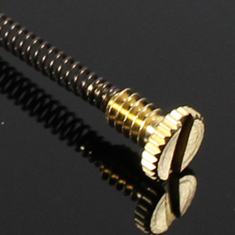 10pcs Metal Spring Screw For Z - Musical Instrument Zither recension och pris