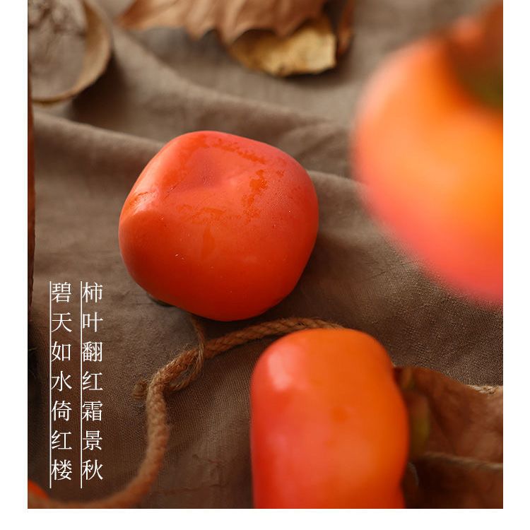 Persimmon String Pendant Indoo - Musical Instrument Image recension och pris